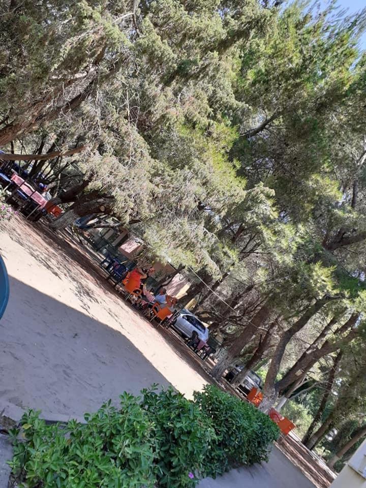Divjaka Park Экстерьер фото